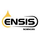 2. ENSIS